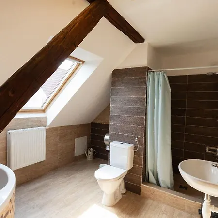 Wellness Hotel & Minipivovar Knezinek Resort 3*