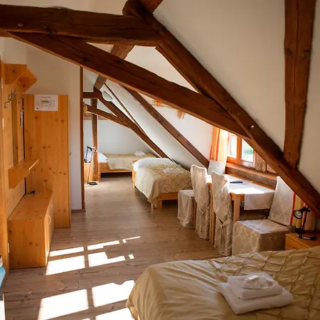 Wellness Hotel&minipivovar Kněžínek 3*
