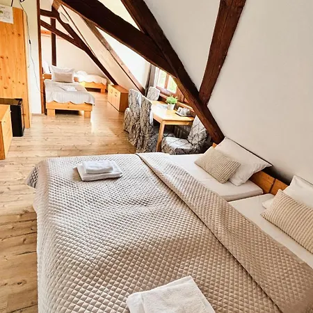 Resort Wellness Hotel & Minipivovar Knezinek 3*
