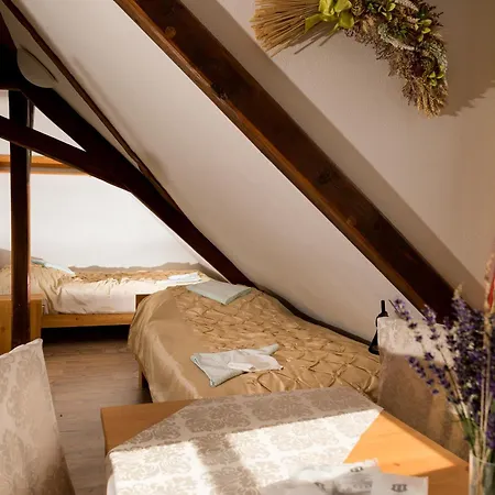 Resort Wellness Hotel & Minipivovar Knezinek