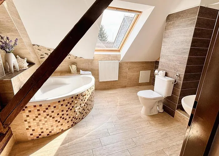 Ośrodek wypoczynkowy Wellness & Minipivovar Knezinek 3*