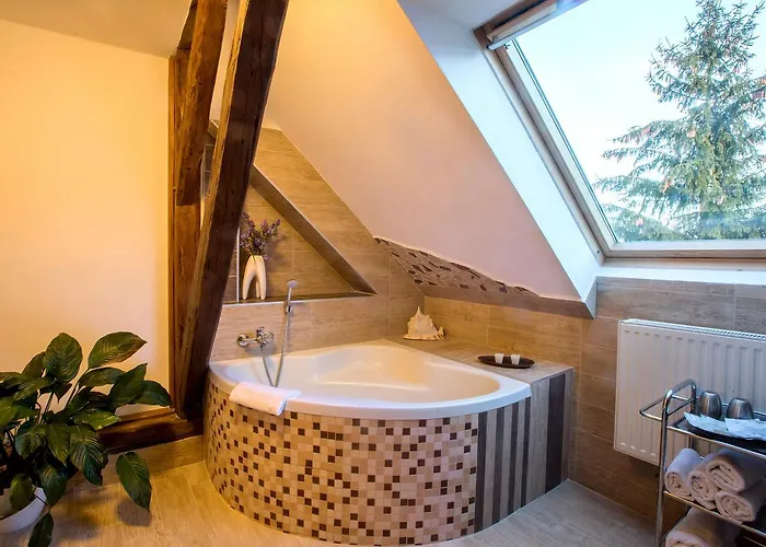 Ośrodek wypoczynkowy Wellness & Minipivovar Knezinek